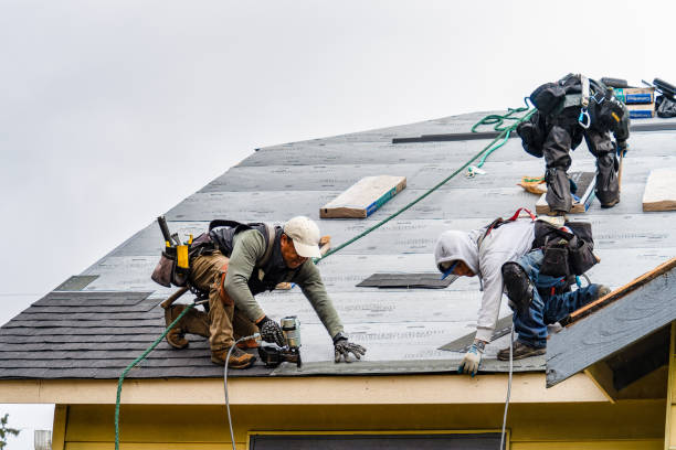 Professional Gutter Installation technician working in Halls, TN