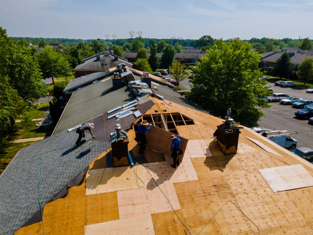 Trusted Storm Damage Roof Repair service in Halls, TN - Brentwood Metal Roofing